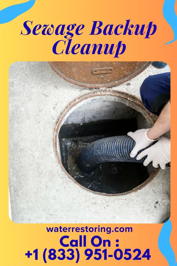 Sewage Backup Cleanup in Madison, WI