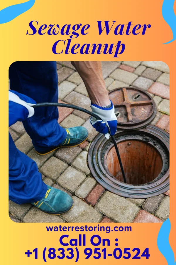 Sewage Water Cleanup in Madison, WI